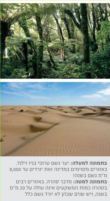 בתמונה למעלה: יער גשם טרופי בניו זילנד. באזורים מסוימים במדינה זאת יורדים עד 8,000 מ